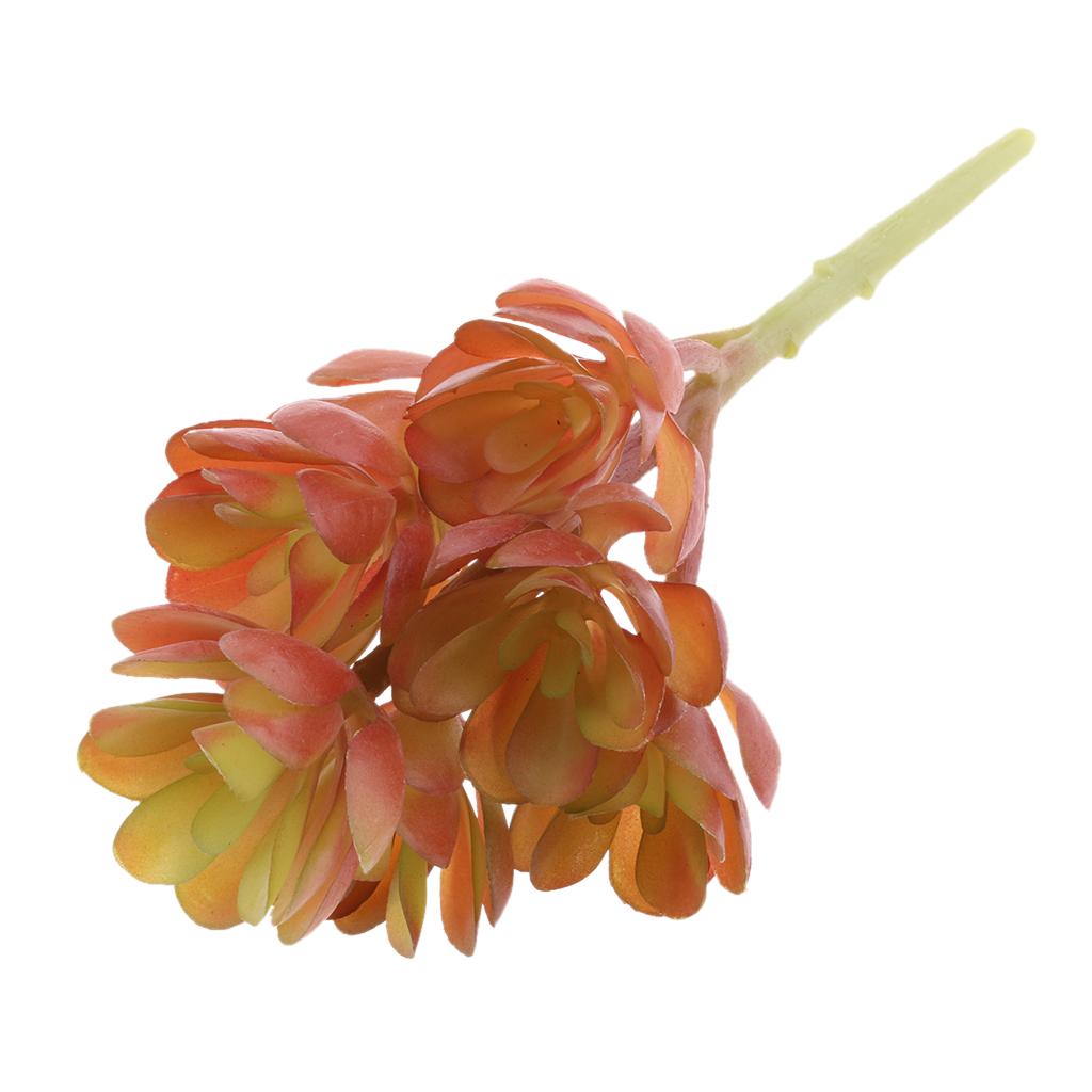 Echeveria Succulent - Plastikowe, sztuczne rośliny sukulentowe, realistyczne imitacje