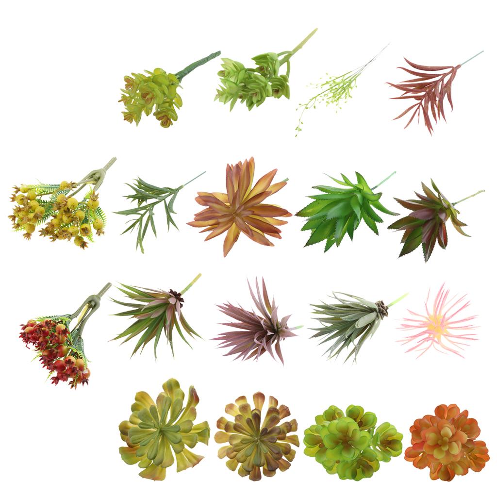 Plastikowe, sztuczne rośliny s – Echeveria Succulent recenzja i cena