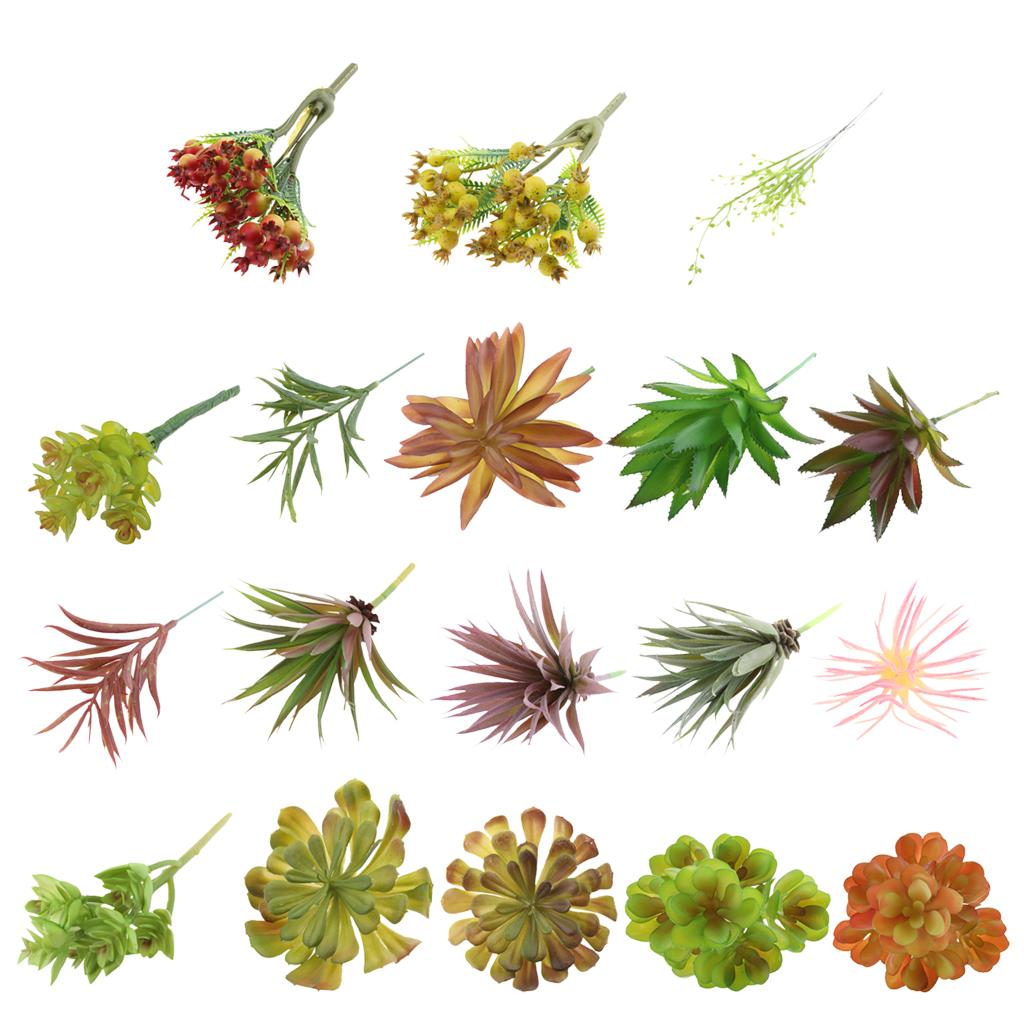 Plastikowe, sztuczne rośliny s – Echeveria Succulent recenzja i cena