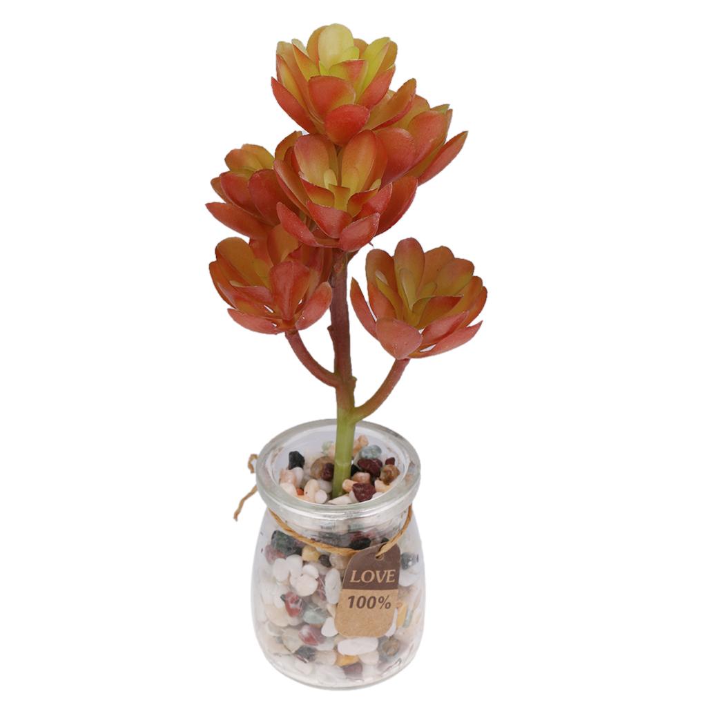 Plastikowe, sztuczne rośliny s – Echeveria Succulent recenzja i cena