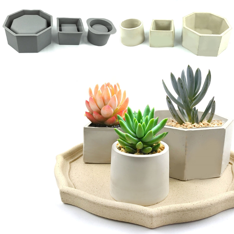 Ręcznie robiona doniczka na su – Echeveria Succulent recenzja i cena