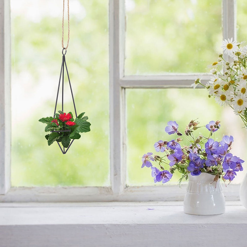 2 sztuki – metalowe, geometryc – Spider Plant Hanging recenzja i cena