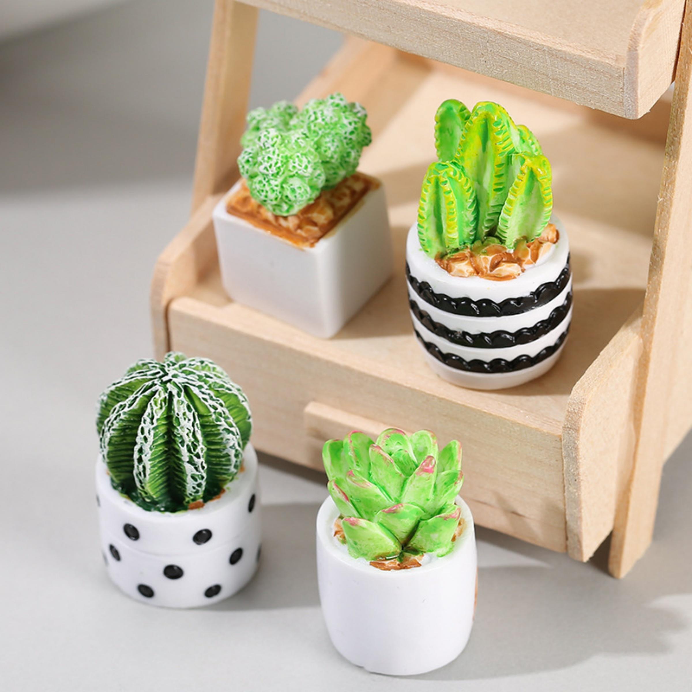 4-częściowy zestaw sukulentów  – Echeveria Succulent recenzja i cena