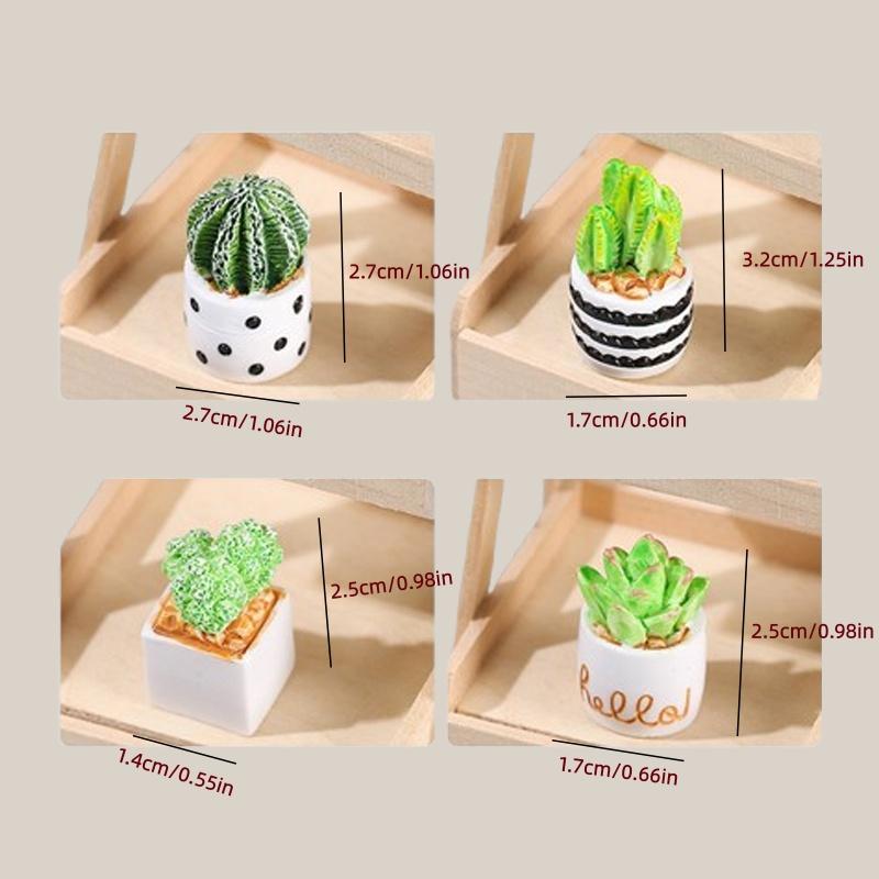 4-częściowy zestaw sukulentów  – Echeveria Succulent recenzja i cena