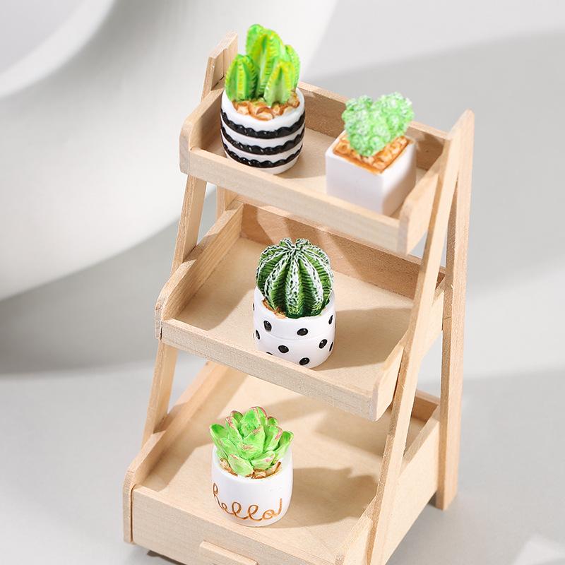 4-częściowy zestaw sukulentów  – Echeveria Succulent recenzja i cena